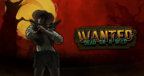 Wanted Dead or a Wild met westernthema en revolvers